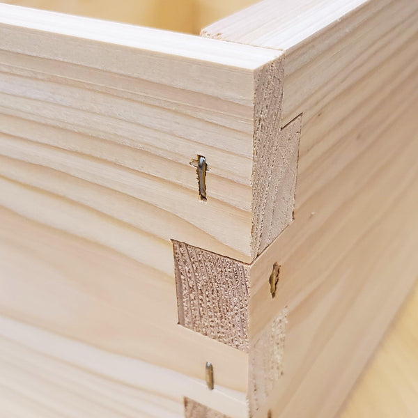 5-Frame Complete, Medium 6 5/8-inch Box with Frames and Foundation
