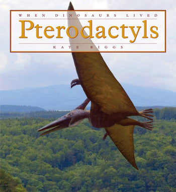 When Dinosaurs Lived: Pterodactyls by The Creative Company Shop