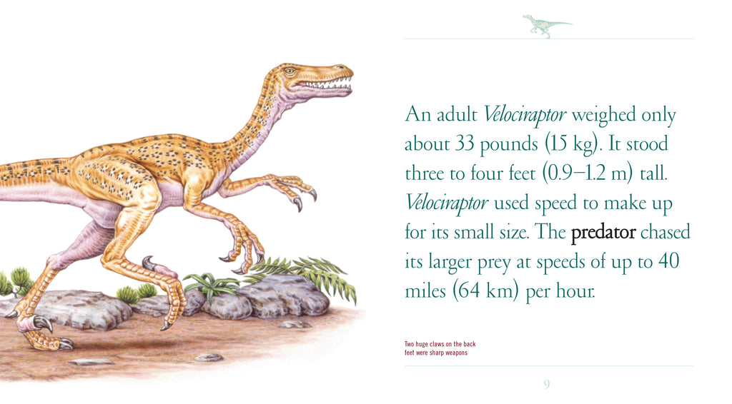 When Dinosaurs Lived: Velociraptor by The Creative Company Shop