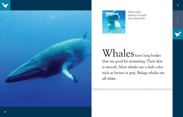 Amazing Animals (2014): Whales by The Creative Company Shop