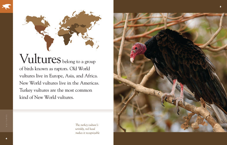 Amazing Animals (2014): Vultures by The Creative Company Shop