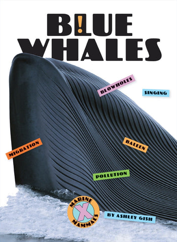 X-Books: Marine Mammals: Blue Whales by The Creative Company Shop