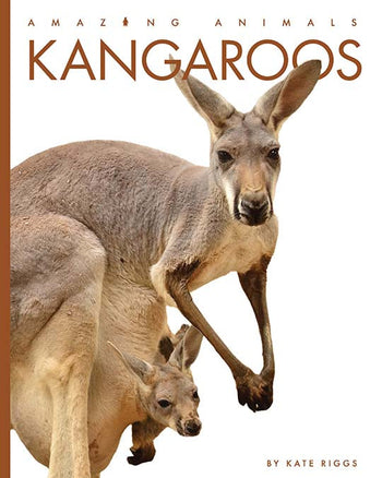 Amazing Animals (2022): Kangaroos by The Creative Company Shop