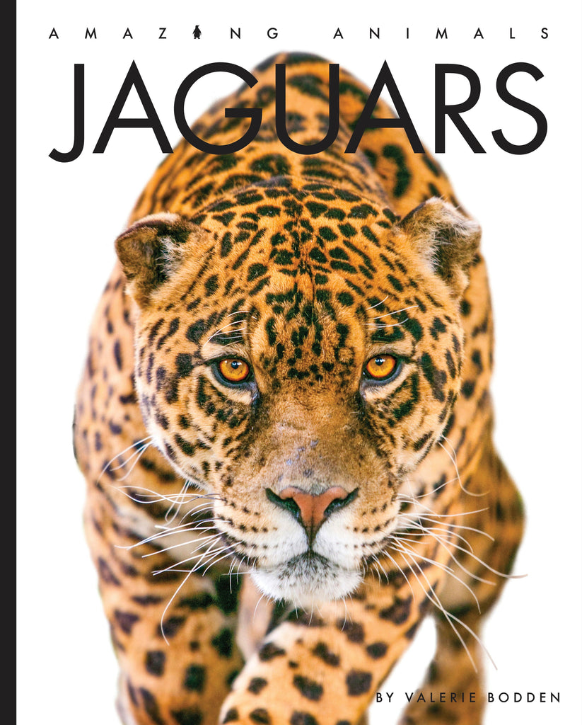 Amazing Animals (2022): Jaguars by The Creative Company Shop