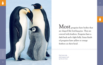 Amazing Animals (2022): Penguins by The Creative Company Shop