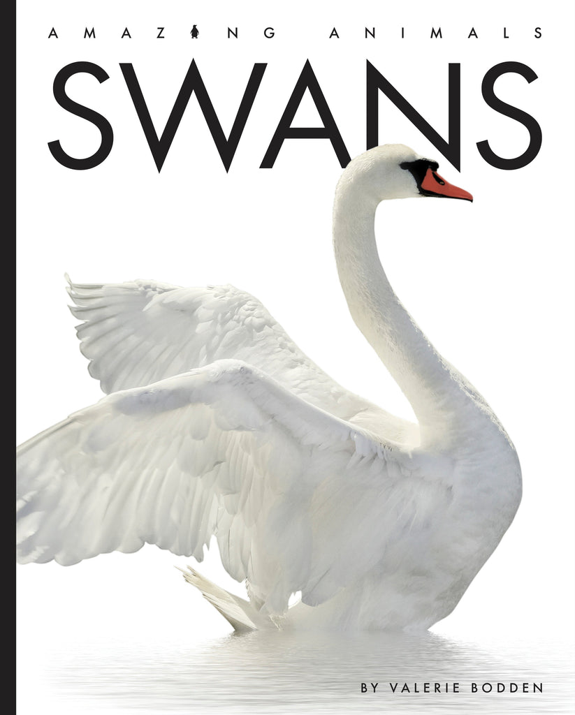 Amazing Animals (2022): Swans by The Creative Company Shop