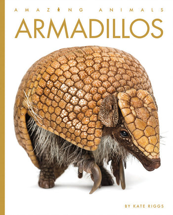 Amazing Animals (2022): Armadillos by The Creative Company Shop