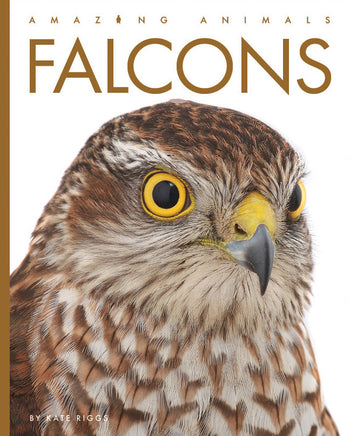 Amazing Animals (2022): Falcons by The Creative Company Shop