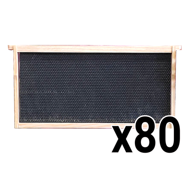 Deep 9 1/8-Inch Langsroth Frame, Grooved Top / Grooved Bottom With Double Wax Foundation