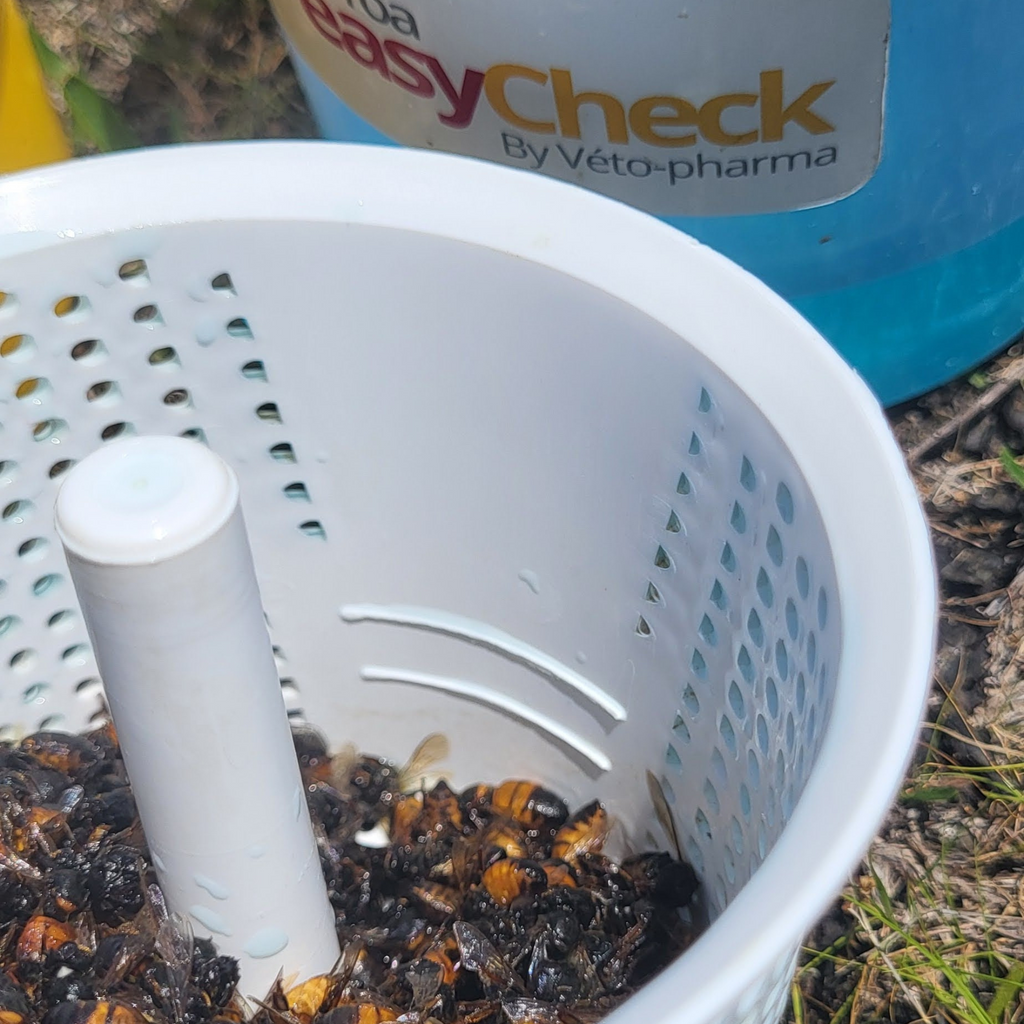Varroa Easy Check