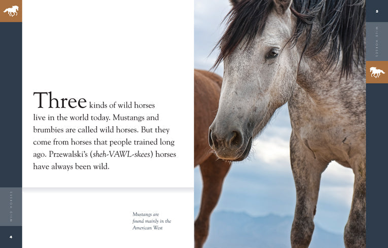 Amazing Animals (2014): Wild Horses by The Creative Company Shop