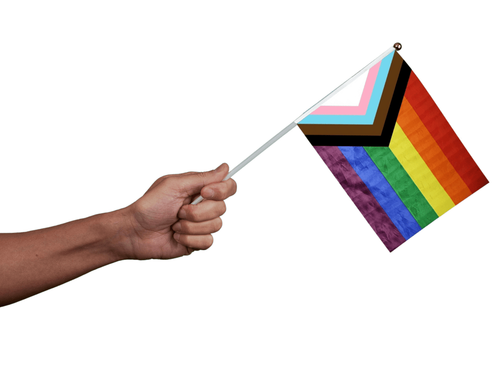 50 Pack Small Quasar LGBTQ Flags on a Stick (50 Flags)