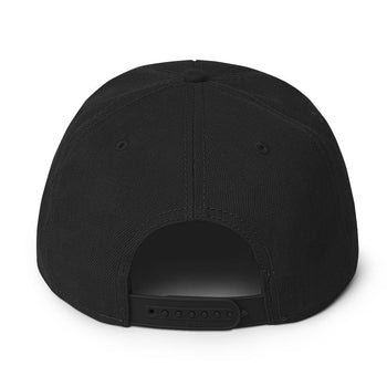 Surveillance isn't Safety - NOALPRS.com Snapback Hat