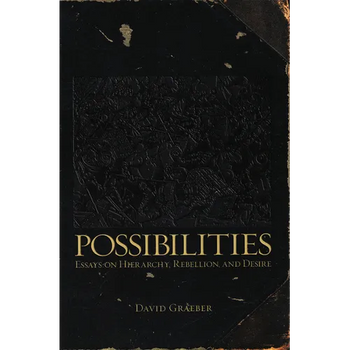 Possibilities: Essays on Hierarchy, Rebellion, and Desire