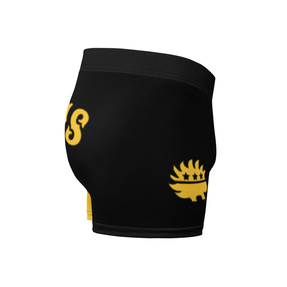 Tax This Ancap Porcupine Boxer Briefs - Proud Libertarian - Proud Libertarian