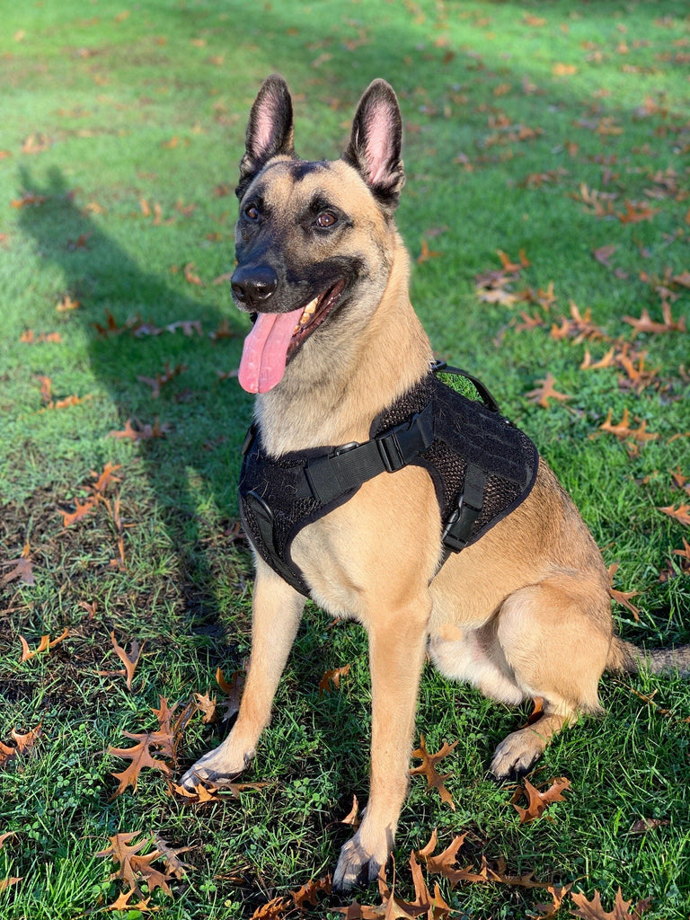 Artemis Dog Harness - No Pull No Tug No Choke Adjustable Breathable K-9 by 221B Tactical - Proud Libertarian - 221B Tactical