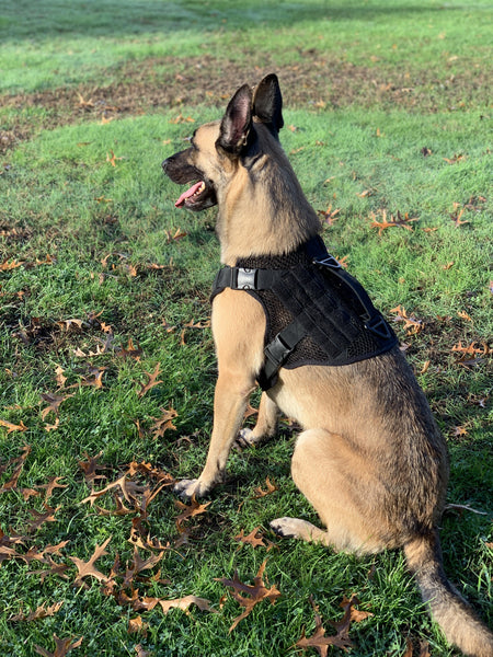 Artemis Dog Harness - No Pull No Tug No Choke Adjustable Breathable K-9 by 221B Tactical - Proud Libertarian - 221B Tactical