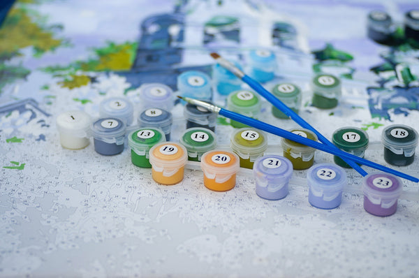 Cute Hedgehog - Premium Paint By Numbers Kit by Paint with Number - Proud Libertarian - Paint with Number