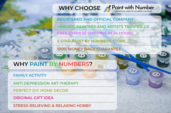 Cute Hedgehog - Premium Paint By Numbers Kit by Paint with Number - Proud Libertarian - Paint with Number